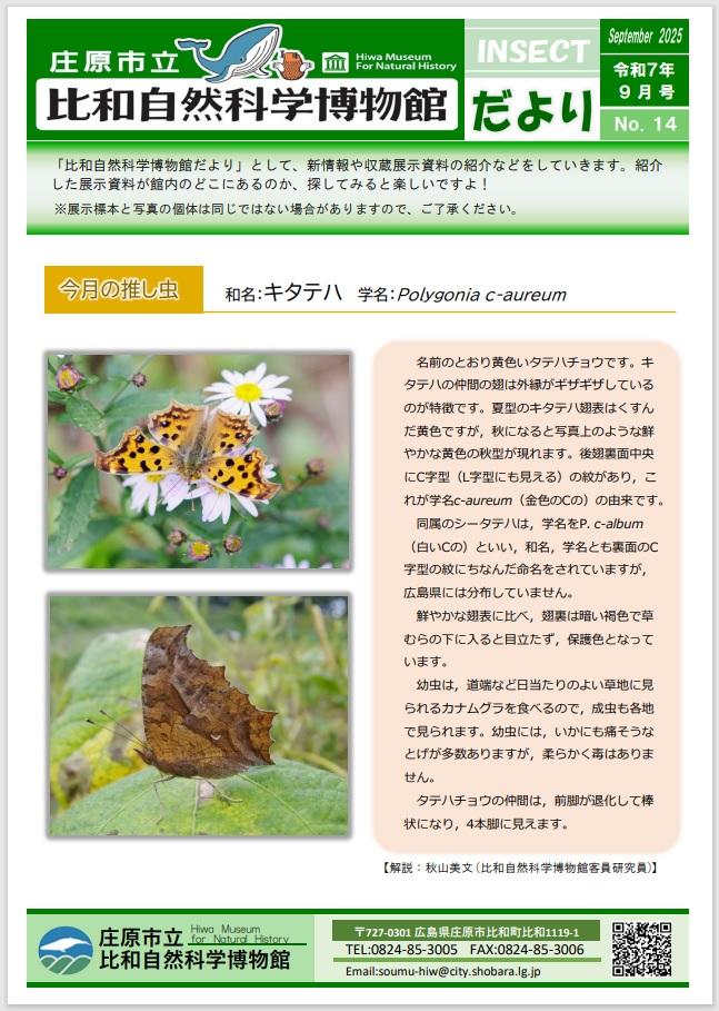 博物館だより14.jpg
