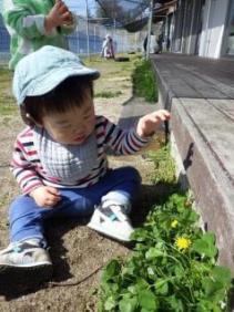 4月保育所生活の始まり.jpg