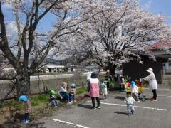 4月お花見会.JPG