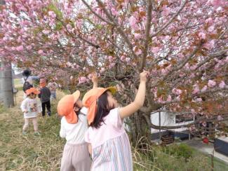 【無害化実施】DSC02545.jpg