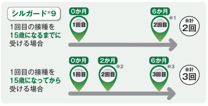 一般的な接種スケジュール.png