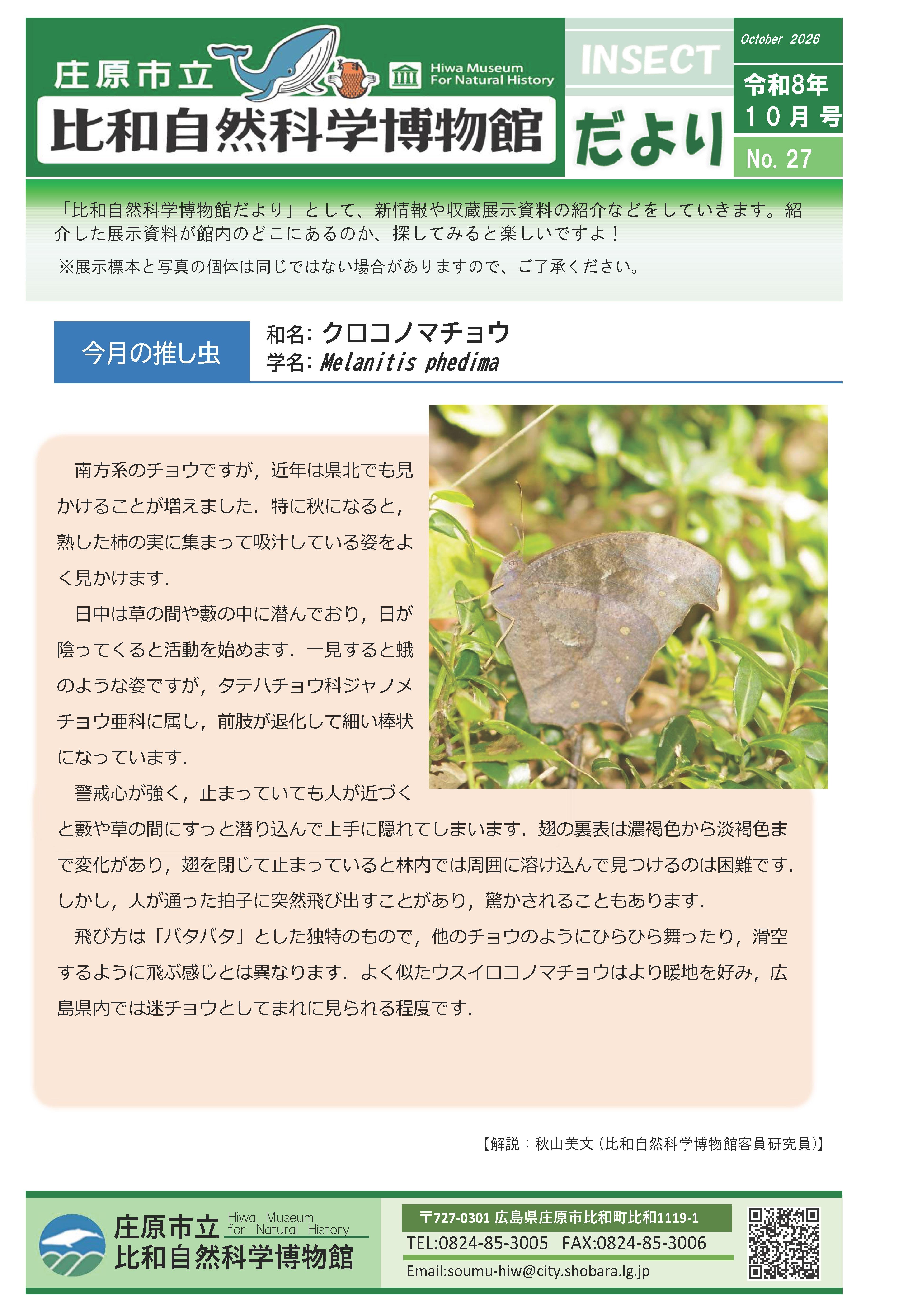 クロコノマチョウ.jpg
