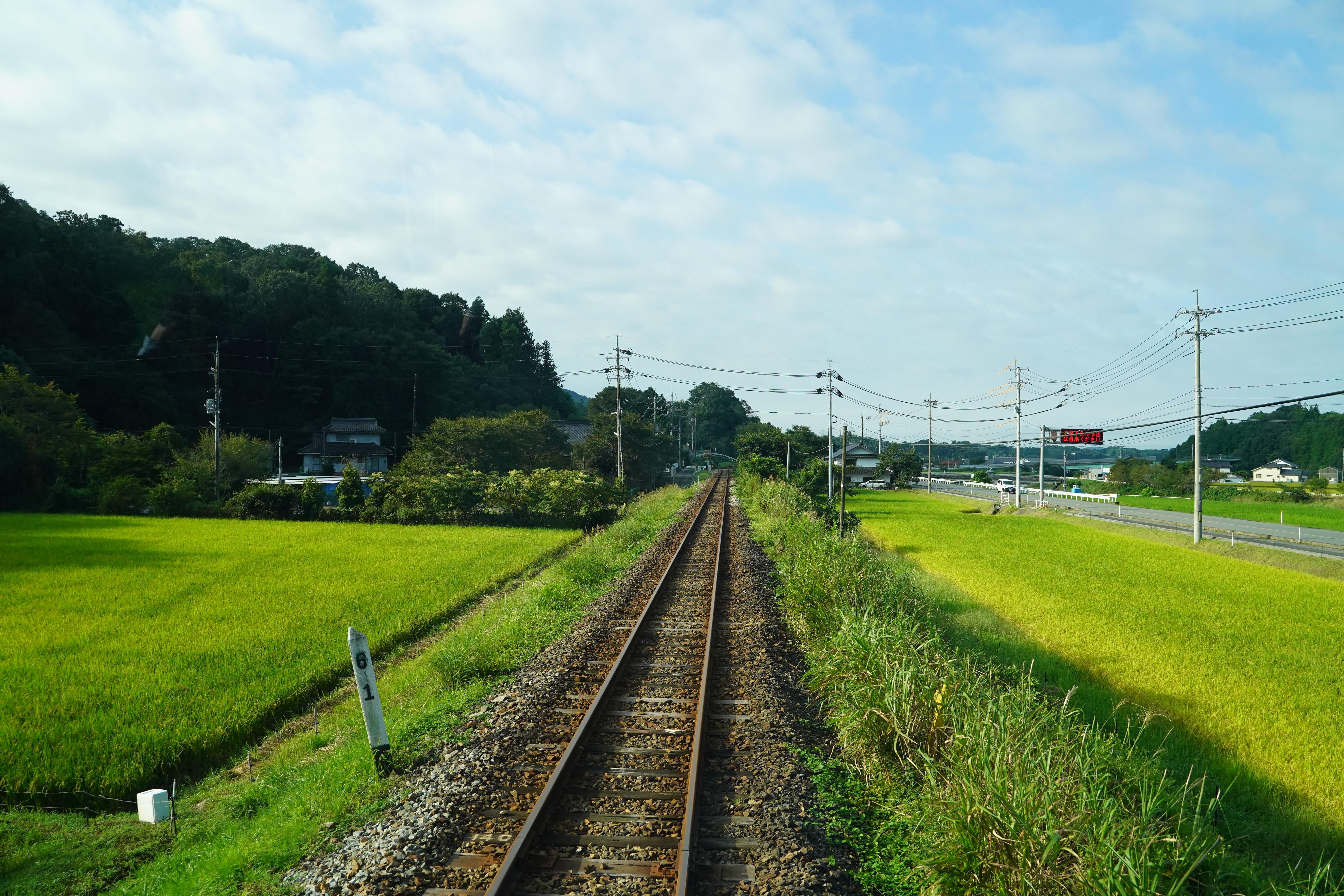DSC09984.JPG